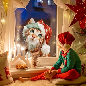 Detailed view of orange tabby cat window sticker with Santa hat for Christmas decoration