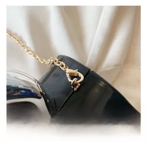 Detail of high-quality gold metal lobster clasp and chain on a black acrylic box bag