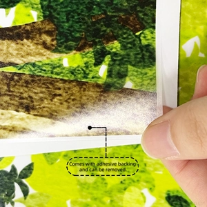 Macro shot showing removable self-adhesive backing of the lush tree leaf wall sticker