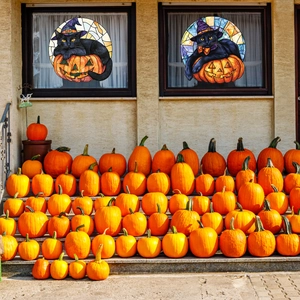 Halloween Fensterbilder mit schwarzer Katze und Kürbis im bunten Buntglas-Stil Detail