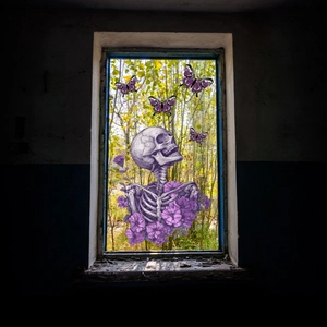 Gothic skull window stickers with purple flowers and butterflies for Halloween home decor