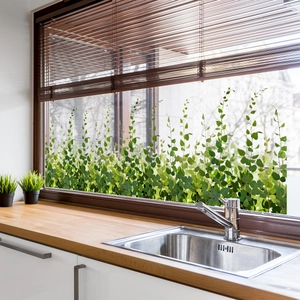 Translucent green vine window decals applied on glass in a bright modern kitchen