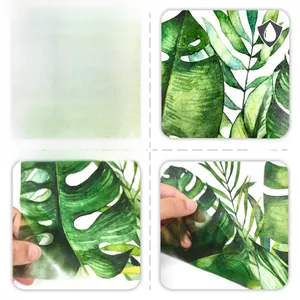 Waterproof tropical monstera leaf wall decal with double-sided visual transparency