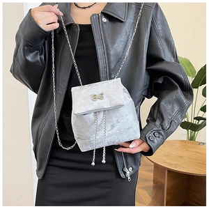 Close-up of silver velvet mini bag with metallic butterfly and fine chain strap details