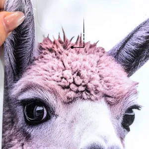 Close-up of pink alpaca window sticker showing double-sided colorful patterns
