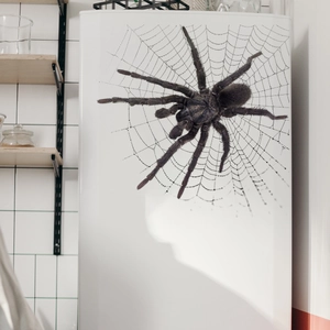 3D spider wall sticker with realistic web decoration for Halloween home interior