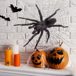 Halloween decoration set featuring a large black plush spider on a white web background