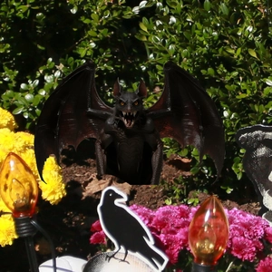 Halloween black bat garden stake with orange eyes and fangs for outdoor yard decoration