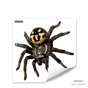 Realistic 3D spider window sticker for home decor, double-sided 30x30cm adhesive decal