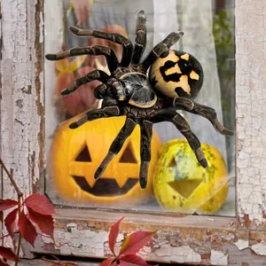 3D spider Halloween window sticker on old wooden frame with pumpkin lantern background