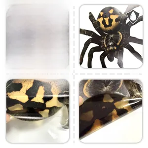 Detailed macro view of black spider wall sticker with realistic yellow markings and texture