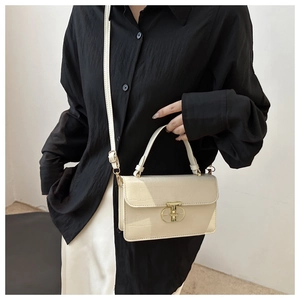Dettaglio della piccola borsa quadrata coccodrillo crema con elegante fibbia dorata