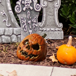 Halloween Scary Skull Pumpkin Garden Stake Waterproof 2D PVC Ground Insert Yard Decoration For Outdoor Halloween Party Supplies