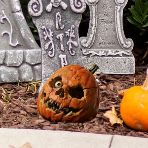 Macro detail of scary one-eyed pumpkin skull garden stake for Halloween decor