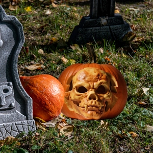 Detail of creative Halloween pumpkin stake with realistic skull face on autumn grass