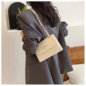 Detail of a beige woven crossbody bag with gold metallic buckle and chain strap