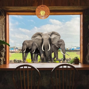 Window sticker showing African elephants in a natural landscape with double-sided view
