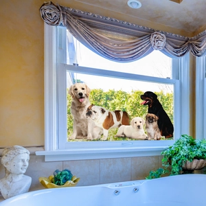 Realistic puppy window stickers featuring Golden Retriever and Bulldog for glass decor