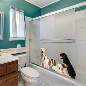 Realistic dog window decals featuring various breeds applied on a glass shower door
