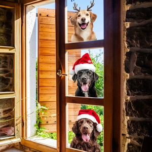Christmas dog window stickers with golden retriever in antlers and dogs in Santa hats