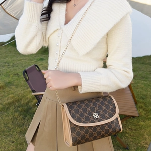 Vintage crossbody bag with clover print and gold chain strap shown on outdoor model