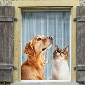Pegatinas de ventana de Golden Retriever y gato atigrado para decoración del hogar