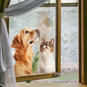 Película decorativa esmerilada para ventanas con diseño floral y vista de mascota