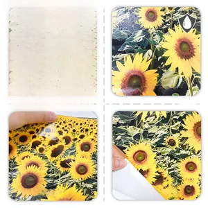 Detail of waterproof sunflower bin sticker showing vibrant printing and adhesive backing