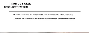 Detailed size guide for titanium steel necklace with length measurements and manual error note