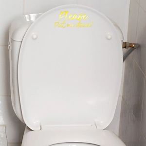 Close-up of gold vinyl Please Put me down lettering sticker applied on a white toilet lid