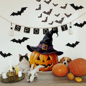 Close-up of spooky Halloween wall stickers with black bats and pumpkin decor items