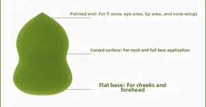 Detail diagram of makeup sponge zones for T-zone, neck, and full face application