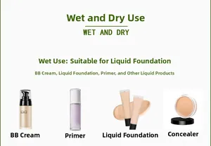 Detail guide showing makeup sponges for wet use with BB cream and liquid foundation