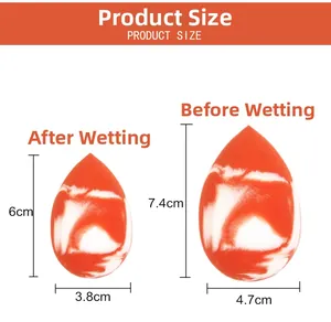Detailed size comparison of makeup sponge before and after wetting for size expansion