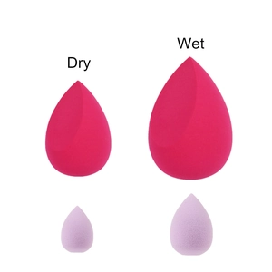 Detailed comparison of dry vs wet makeup sponges showing size expansion in pink and purple