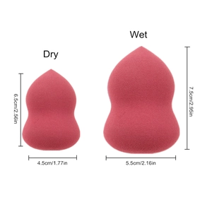 Comparison showing sponge size expansion from dry to wet state in centimeters and inches