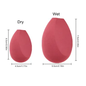 Size chart showing dry 6.5x4.5cm and wet 7.5x5.5cm makeup sponge expansion comparison