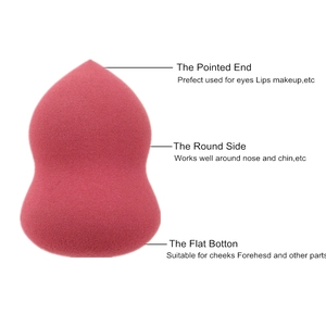 Detailed three-in-one makeup sponge diagram showing specialized zones for blending and contouring