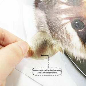 Detailed macro view showing the adhesive backing of a removable raccoon wall sticker