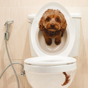 3D realistic brown puppy wall sticker peering from a toilet lid for bathroom decor