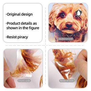 Waterproof cartoon dog wall sticker showing front peel-off effect and back texture details