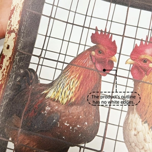 Detail of a rooster wall sticker showing smooth edges and no white border design
