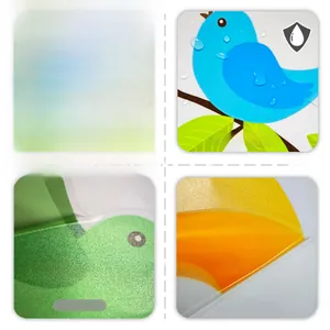 Detailed view of waterproof bird wall sticker showing matte texture and strong adhesive backing