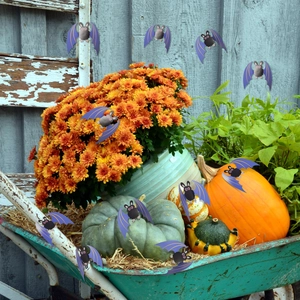 Close-up of purple bat wall stickers arranged in a rustic pumpkin and flower wheelbarrow
