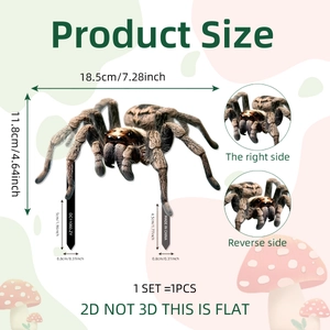 Realistic 2D spider garden stake detail with dimensions and dual-sided view