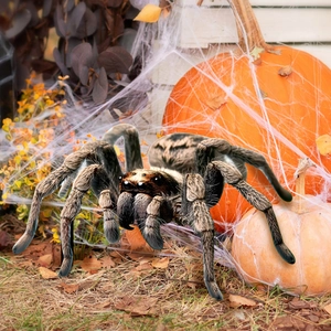 Realistic large Halloween spider decoration with hairy texture in a festive garden setting