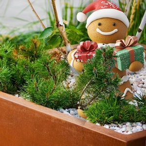 Garden gingerbread man ornament with Santa hat and gift boxes in a festive outdoor setting