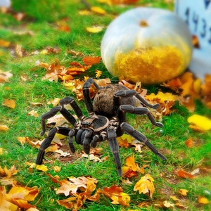 Close-up of a large realistic spider stake for Halloween garden lawn decoration