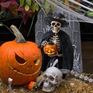 Detail of Halloween skeleton with witch hat and glowing jack-o-lantern on yard lawn