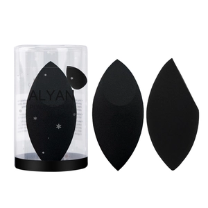 Professionele Zwarte Make-up Spons Set Hydrofiel Polyurethaan Beauty Blender Voor Foundation Vloeibare Crème Droog Nat Gebruik Meerdere Vormen Met Opbergdoos Voor Dames